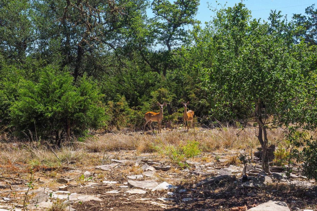 Cozy Kerrville Guest Cottage Near Guadalupe River! エクステリア 写真